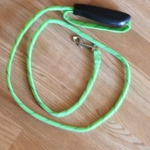 Light Up Dog Leash